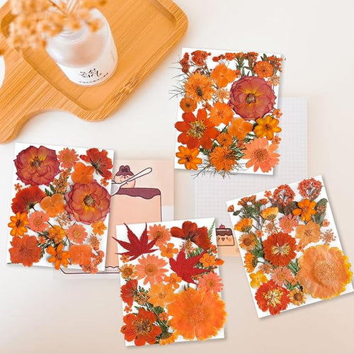150PCS Orange Fall Dried Pressed Flowers with Butterfly Stickers - Youthbro Real Nature Flowers Set for Resin DIY Jewelry Candle Soap Vase Making Nail Card Scrapbook Art Craft Floral Decors
