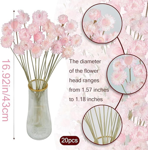 20 Pcs Natural Dried Daisy Flowers Bouquet Dried Flower Daisies Light Pink Dried Sunflowers Chrysanthemum with Stem for Wedding Farmhouse Table Vase Decor Home DIY Flower Arrangement