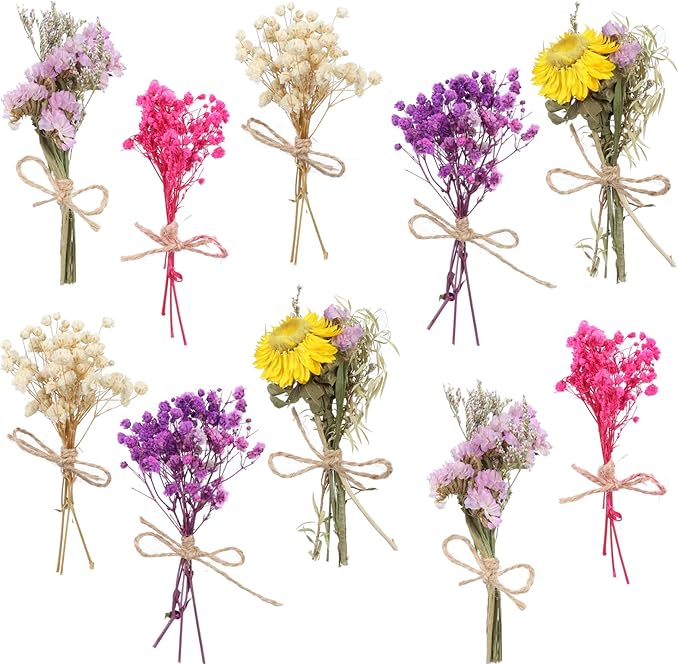10 Pack Mini Dried Babys Breath Flowers Bouquet Natural Gypsophila Dried Flower with Stem Dried Embossing Flower Bundles Artificial Flowers Dried Floral Arrangement for Resin, Vase, DIY, Photo Prop