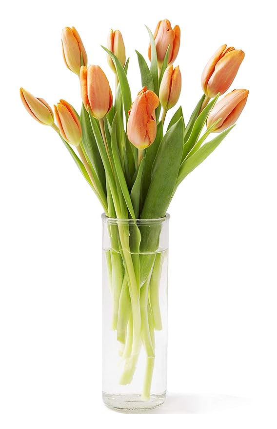 KaBloom Flowers - Mother's Day Collection - Bouquet of Fresh Orange Tulips with Vase| Fresh For Delivery Prime.Gift for Birthday, Thank You, Valentine, Mother’s Day Fresh Flowers