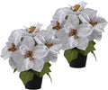 Poinsettias Flowers Artificial 2 Pack White Faux Christmas Poinsettia Plant Small 11 Inch Winter Flowers for Home Office Table Decorations Indoor Xmas Ornament