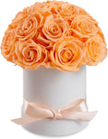 Preserved Roses Dome in a Box, Forever Real Roses Decor, Eternal Flowers for Delivery Prime, Best Gifts Birthday, Wedding, Anniversary, Mother's Day, Christmas for Her, 18-Pieces (Champagne)