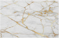 PVC Placemats Set of 1 White Gold Marble Wipeable Table Mats Washable Heat Resistant Non Slip Vinyl Dining Table Mat for Kithen Indoor Outdoor Patio Farmhouse Place Mats Decorative