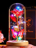 Beferr Christmas Rose Gifts for Women Mom Birthday Gifts, Galaxy Glass Rose Forever Preserved Flowers for Delivery Prime Light Up Rose in Glass Dome with Butterfly Xmas Gifts for Grandma Her Wife, Red