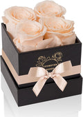 4-Piece Preserved Roses in a Box, Preserved Flowers, Roses Gift for Her, Buttermilk
