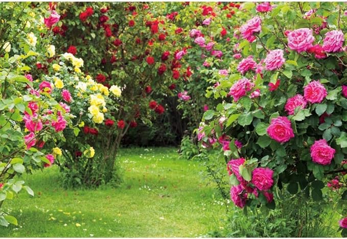 Renaiss 10x8ft Spring Garden Backdrop Red Pink Rose Flower Park Floral Green Leaf Grass Natural Landscape Photography Background for Wedding Bridal Shower Party Decor Photo Booth Props