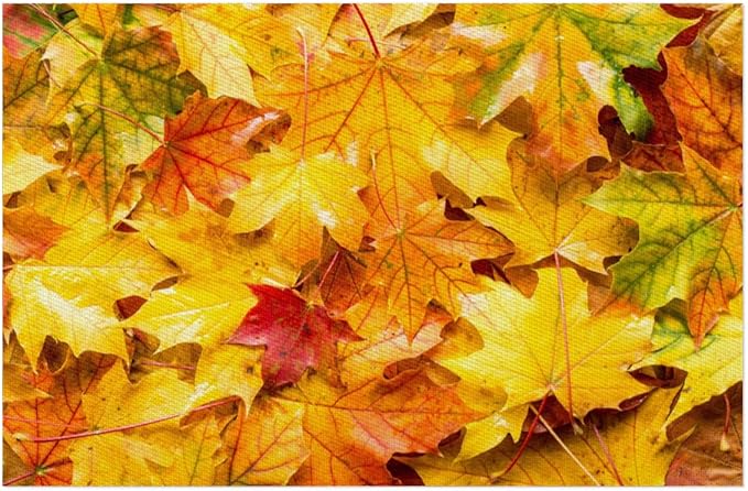 Autumn Maple Leaf Fall Placemats Set of 6 PVC Vinyl Non Slip Table Mats Heat Resistant Place Mats Washable Wipeable Dining Table Mat for Kitchen Decor Party Indoor Outdoor Decorative Gift