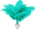 Piokio 20 pcs Mint Green Ostrich Feathers Plumes 12-14 inch(30-35 cm) Bulk for Wedding Party Centerpieces and DIY Clothes Decoration, Gatsby Decorations