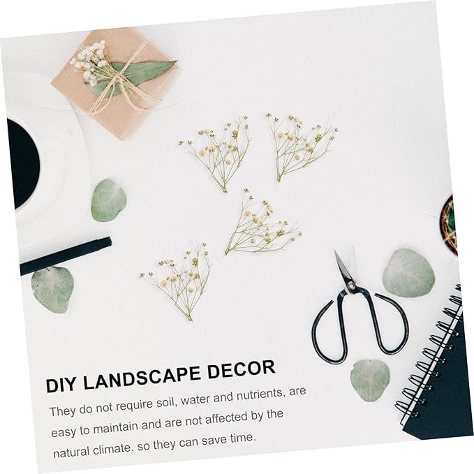 Natural Eternal Dried Flower Bouquet DIY Kit Stems S Breath Floral Adornments for Home Decor Vase Filling Rustic Wedding Decorations