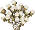 20 Pcs Dried Daisy Flower Bouquet Natural Dried Gerber Daisies Flowers Bundles Real Dried Flowers Mums Chrysanthemum Floral Arrangements for Wedding Party Table Centerpiece Decor Farmhouse