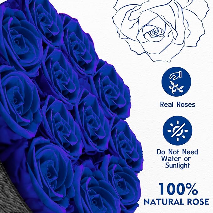 Forever Flowers,12 Roses in A Box，Real Preserved Roses，Birthday Gift for Women,Mother's Day, Anniversary - Blue Rose