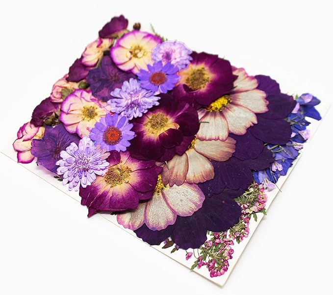 Large Purple Dried Pressed Flowers - Real Natural Big Flowers for Resin, Crafts, Nail Art, Candle, Soap, Phone Cases & DIY Jewelry