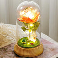 Pink Roses from Daughter for Mom Mothers Day, Beauty and The Beast Rose, with LED Light Up Rose in Dome, for Wife Grandma Christmas Day Valentine Day Birthday for Her Gift (1 Pink Rabbit)