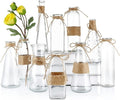 MDLUU Clear Glass Bud Vase in Bulk, 10Pcs Assorted Decorative Glass Bottles with Rope, Different Sizes Vintage Jar for Wedding Centerpiece, Party, Reception Table, Home Decor
