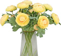 Artificial Ranunculus Flowers with Real Touch Stem, Silk Ranunculus Flowers (Creamy Yellow, 10pcs)