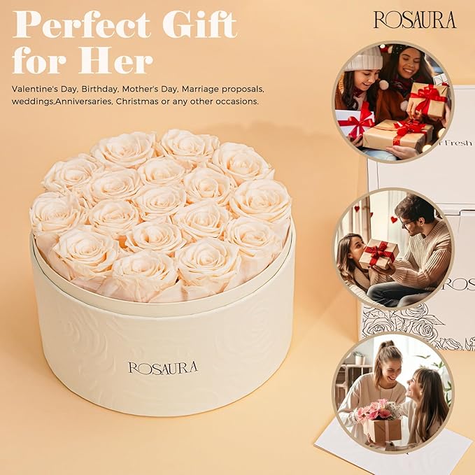 Rosaura Round Preserved Roses Gift Box - Real Forever Flowers for Birthday, Valentine's & Mother's Day (Champagne, 17 Roses)
