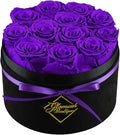 GLAMOUR BOUTIQUE Flowers Forever Gift Box 12 Real Preserved Roses in a Velvet Box, Birthday for Her Mom and Wife, Mothers Day, Anniversary, Graduation - Purple