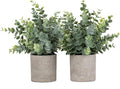 2pcs Artificial Eucalyptus Potted Plants Small Fake Plants in Pots Faux Eucalyptus Potted Plant Set for Home Shelf Decoration Office Table Desktop Decoration