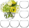 6 Pack Clear Round Glass Vases, 4.7” W x 3.5” H, Bubble Bowl Flower Vase for Table Centerpieces, Candle Holders for Wedding Event Home Decor