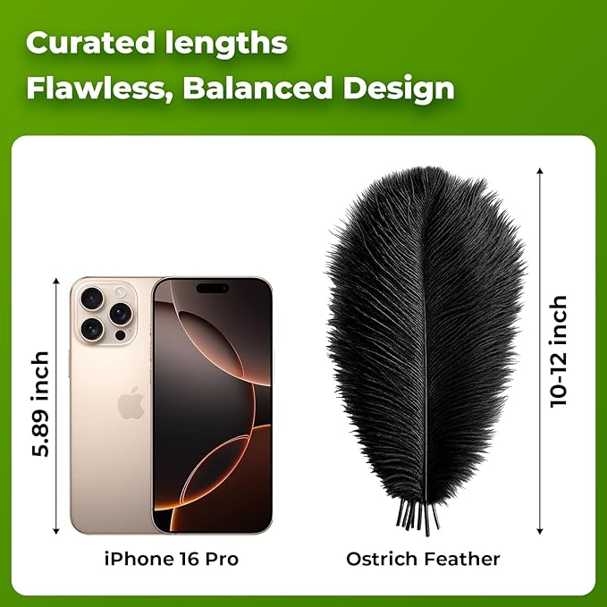 Piokio 20pcs Natural Black Ostrich Feathers 10-12 inch (25-30cm) Bulk Feathers for Home Decoration and DIY Clothes Decoration, Gatsby Decorations