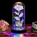 Womens Gifts for Christmas,Christmas Flowers Gifts for Women Mom Sister Grandma Wife Girlfriend, Rose Gifts for Mom,Xmas Gifts Her,Glass Flowers Light Up Rose for Women Gold