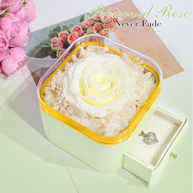 Beferr Preserved Rose with Necklace for Mom Birthday Gifts Eternal Roses Fresh Flowers for Delivery Prime Christmas Day Gifts for Her Mother Grandma Wife Sister Daughter Girl Friends