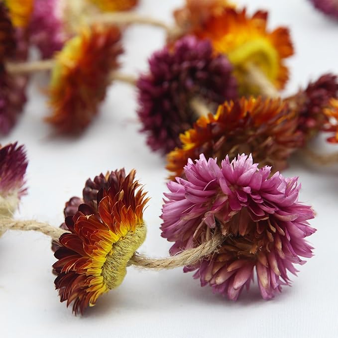 Dried Flowers Garland Real Daisy Sunflower Garlands 6.6ft Natural Dried Daisy Flowers Heads Gerbera Daisies Dry Flower Arrangements for Wedding Boho Decor Home Party Wall Hanging Decoration