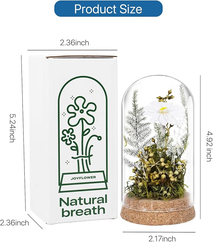 JoyFlower Preserved Daisy in Glass Dome, Real Daisy Eternal Flowers Gifts for Women, Preserved Flower Friendship Gifts for Girlfriend Best Friend Sisters Daughter Birthday Graduation Gift