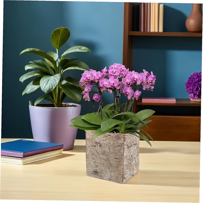Rustic Birch Bark Flower Pot Decorative Planter for Succulents and Cacti Vintage Wood Bark Vase for Flower Arrangement DIY Holiday Rustic Plant Container for Home Garden Decor