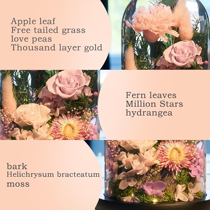 Preserved Roses,Forever Fresh Flowers 7.48in,Gift for Women,Mom,Grandma,Wife,Girlfriend,Sister,and Daughter Perfect for Birthday,Mother’s Day,Valentine’s Day (Sweetheart Carnation4)