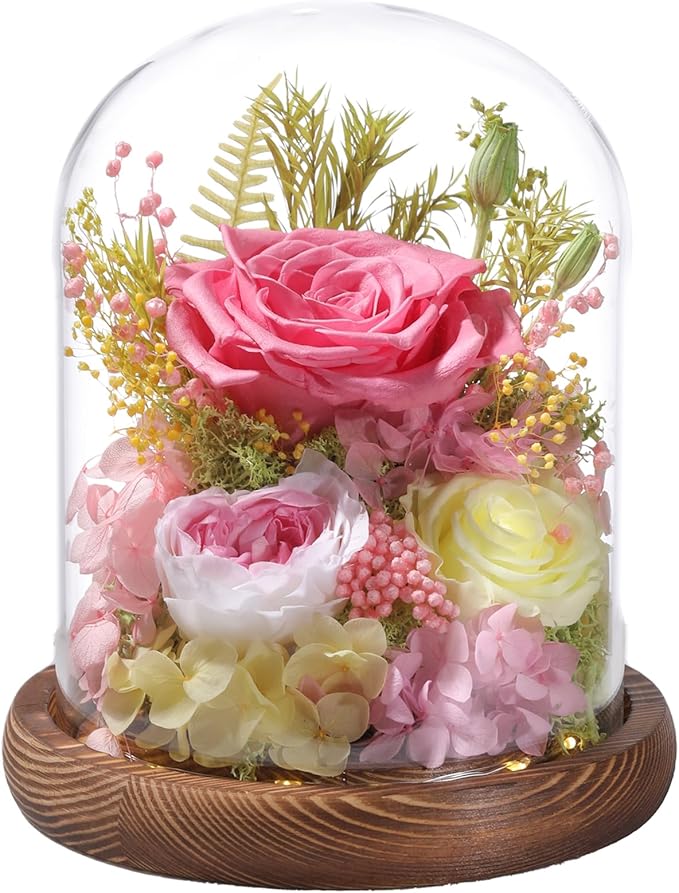 Flowers for Delivery Prime Preserved Flowers Pink Roses with LED Light in a Glass Dome,Long Lasting Real Roses Birthday Gifts for Women Daughter Mom Wife Friend（Pink Rose）