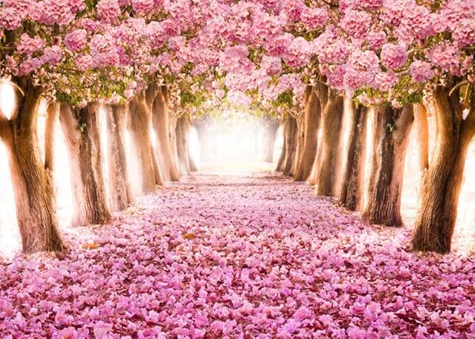 AOFOTO 7x5ft Spring Cherry Blossom Backdrop Sweet Pink Flowers Tree Floral Petal Boulevard Photography Background Baby Shower Photo Studio Props Girl Infant Adult Artistic Portrait Vinyl Wallpaper
