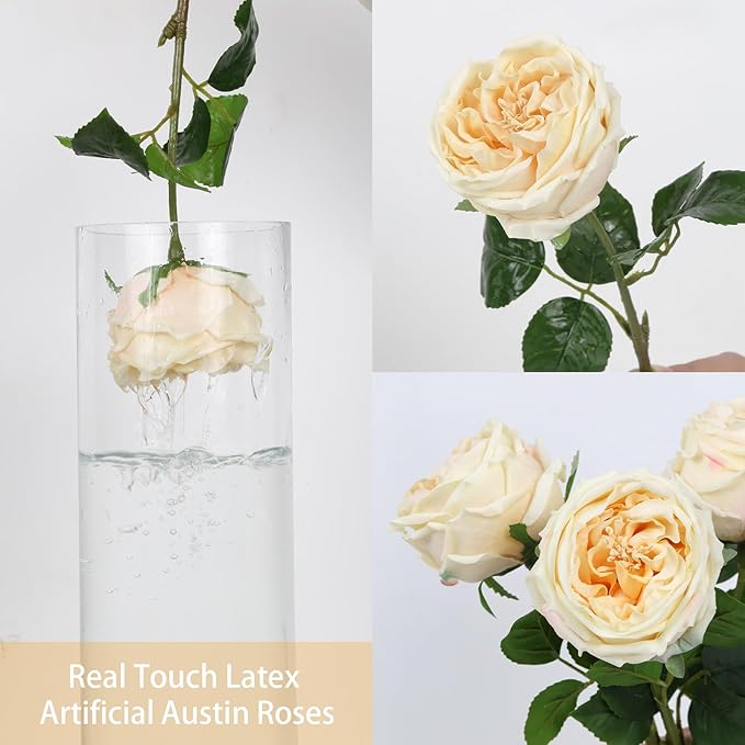 IPOPU 5PCS Real Touch Austin Roses Champagne Flowers Peony Artificial Flowers Fake Roses with Stems for Wedding Bouquet Party Home Decor(Champagne)