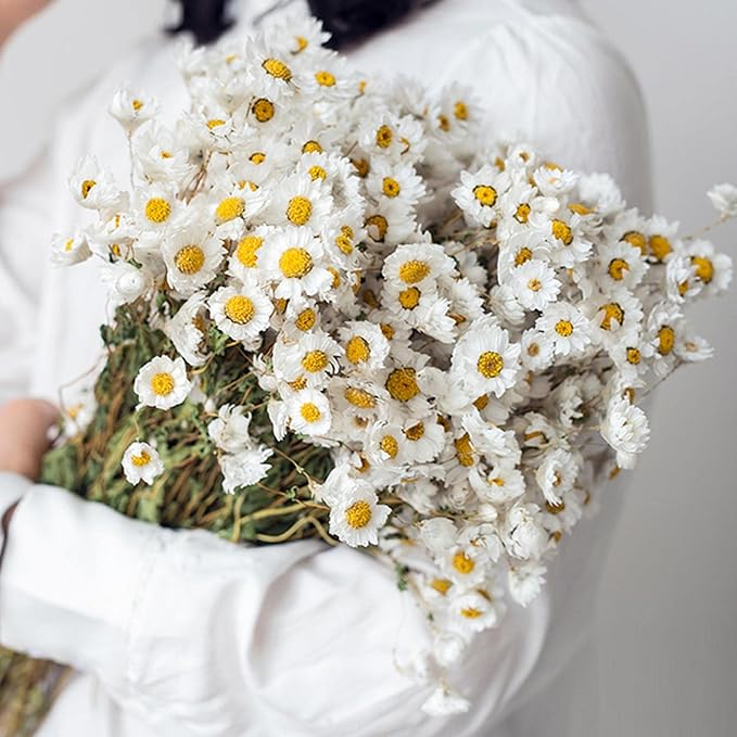 Dried Daisy Flowers Bouquet, 250+ Dry White Flowers, Artificial Sunflowers, 17'' Natural Gerber Daisies Arrangements for Farmhouse Vase Decor, Wedding, DIY Home Office Party Decoration