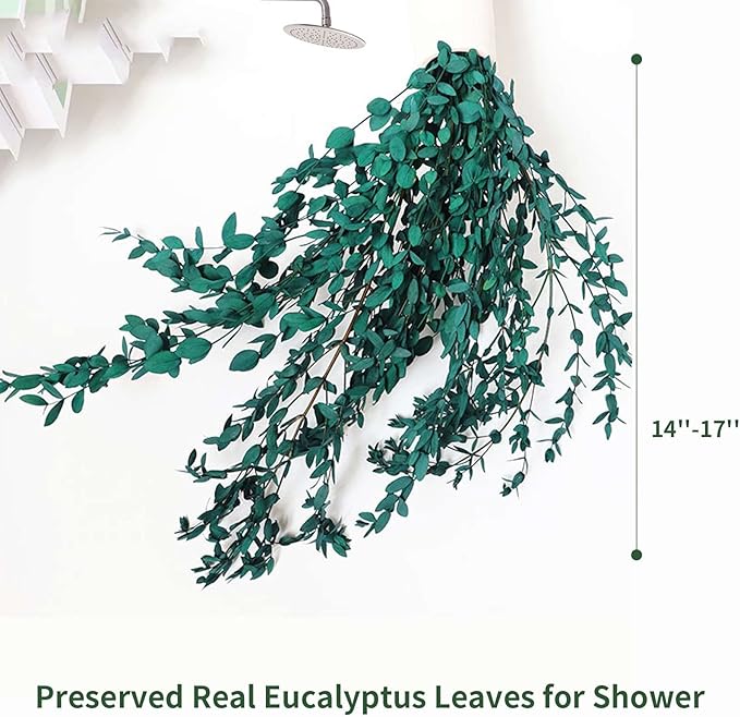 Dried Eucalyptus Leaves Preserved Greenery Stems, 8-14 PCS Eucalyptus Garland Branches, 4 OZ Green Leaves Plant Bundle for Wedding Wreath Party Home Decor Vase Filler