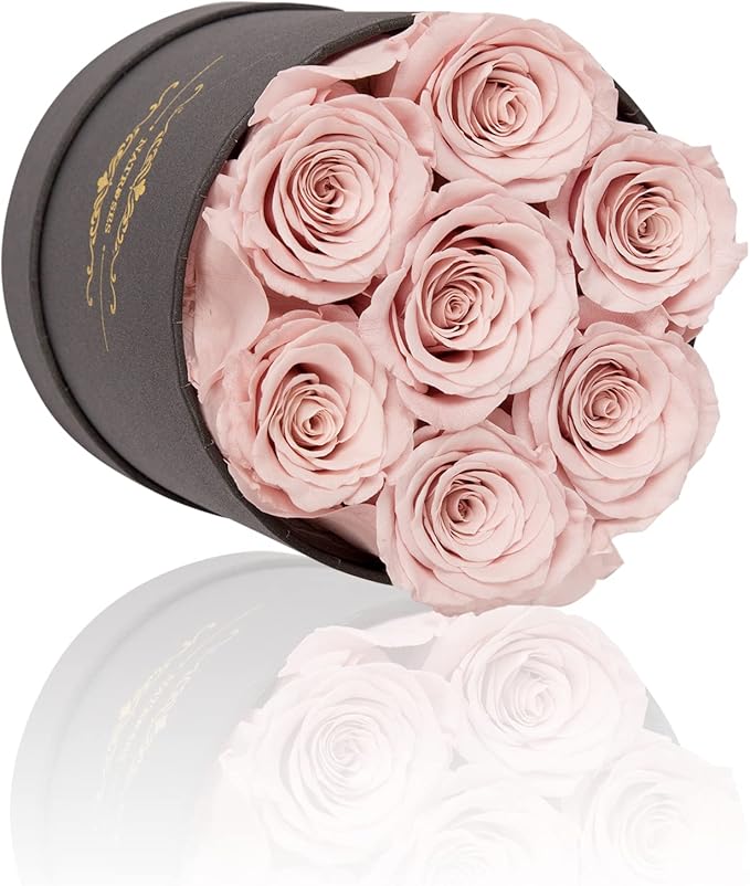 NATROSES 7 Piece Preserved Roses in a Box, Preserved Flowers for Birthday, Flower Gifts for Mothers Day (Dusty Rose)