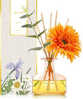 Reed Diffusers Set Grapefruit Scent, 7.10 oz Diffusers for Home with 7 Diffuser Sticks, Reed Diffuser for 120 Days, Perfect for Bathroom, Shelf Decor, Air Fresheners
