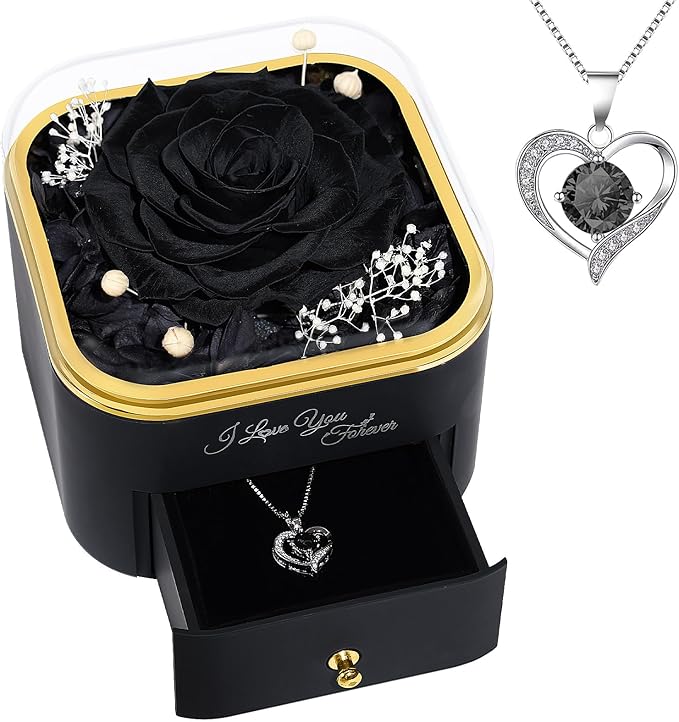 Beferr Birthday Gifts for Women Preserved Real Rose with Necklace Eternal Roses Forever Flowers for Delivery Prime Christmas Day Gifts for Mom Grandma Wife Sister Her from Daughter
