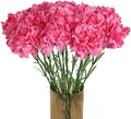 Pink Carnations Artificial Flowers 15PCS Carnations Flowers Silk Flowers 21.25in Fake Flowers for Wedding Home Table Centerpieces Floral Arrangements(Hot Pink)