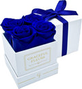 Graceful Fleurs | Real Long Lasting Roses for Years | Preserved Fresh Flowers for Delivery Birthday | Birthday Gifts for Women | Forever Roses in a Box (Blue, White Box, 4 Roses)