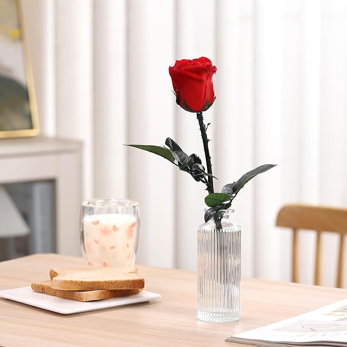 Preserved Rose Gift for Mom - Mothers Day 12'' Preserved Rose Flower Gifts with Elegant Gift Box & Bags, Large Flowers Roses for Her, Women Grandma, Girlfriend, Wife Anniversary Romantic Gift (Red)