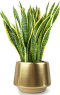 Gold Planter Flower Pots 6 inch Decorative Plant Pots for Indoor Gold Brass Succulent Plant Pots Containers (Dia 6 inch), Small 5.9‘’