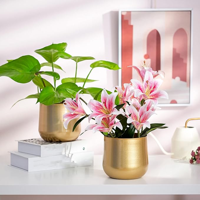 Nuptio 2 Pcs Plant Pot Gold Vase Metal Flower Pot Vase with Drainage Hole, Modern Storage Organizer Decorative Gifts for Wedding Indoor Outdoor Living Room Balcony Decoration Floor Display
