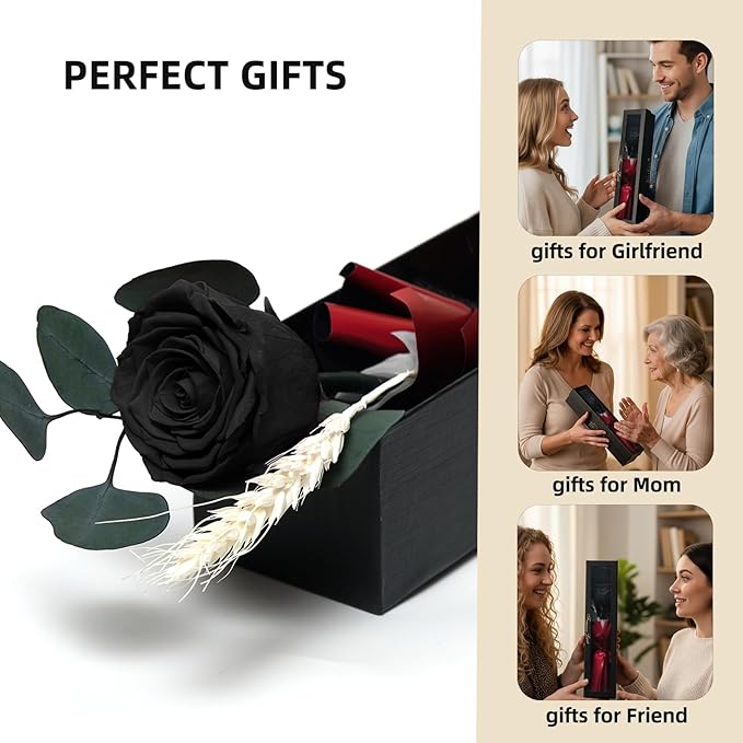 Forever Flower, Preserved Rose Birthday Gifts for Women, Her, Wife, Mom, Prime Eternal Roses Gifts for Mothers Day, Valentines Day, Anniversary, Graduation, Wedding, Single Rose Real Rose (Black)