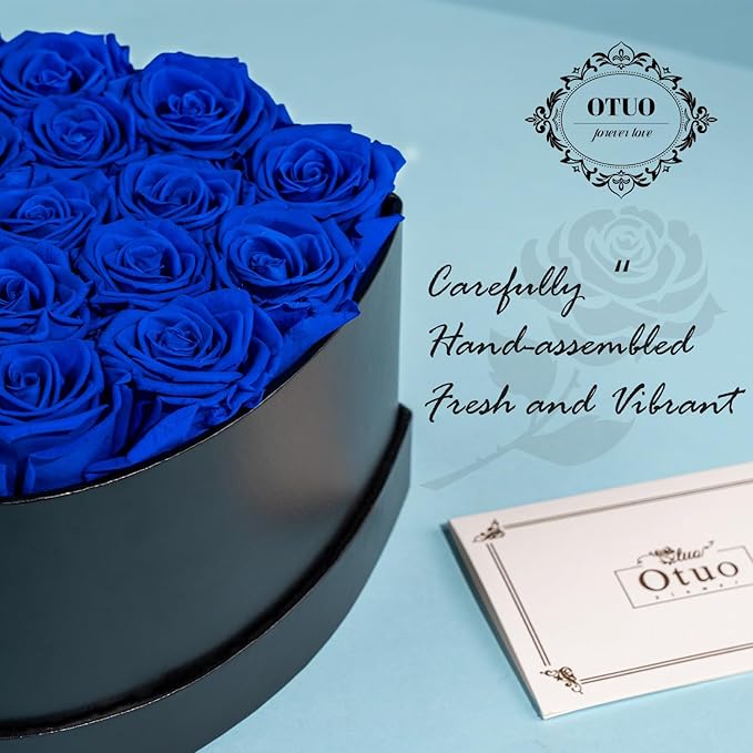 16 Preserved Roses in Heart-Shaped Box, Flowers for Delivery Prime Last up 2 Years, Real Forever Flowers for Wife, Girlfriend, Mother, Eternal Roses for Anniversary - Blue