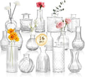 DomeStar 16PCS Glass Bud Vases Set, Small Small Flower Vase for Centerpieces, Vintage Clear Bud Vases in Bulk for Rustic Wedding Centerpieces Home Table Flower Decor
