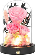 Preserved Flowers in Glass Dome, Christmas Pink Flowers for Delivery Prime, Forever Roses Valentines Day Anniversary Mothers Day Birthday Gifts for Mom Women Wife Girlfriend