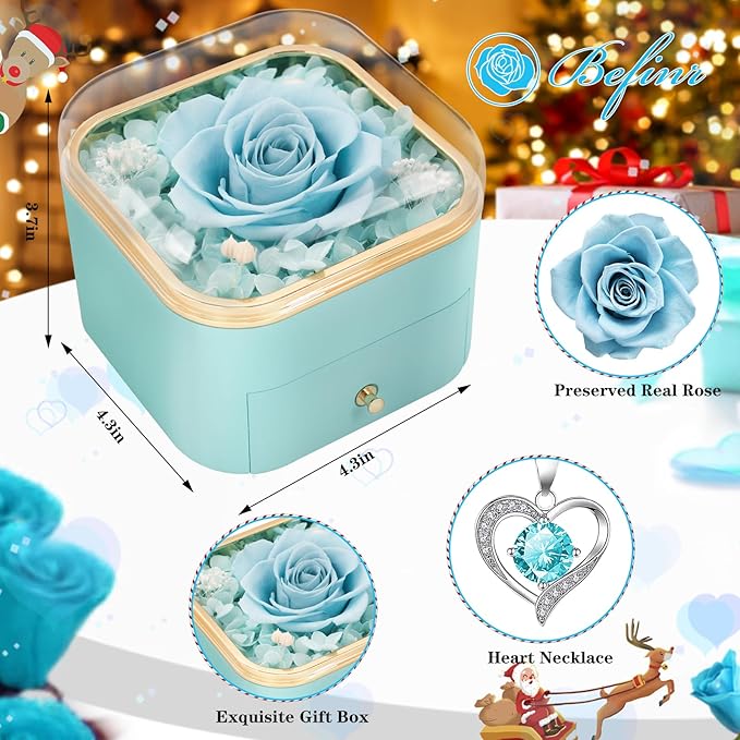 Beferr Christmas Day Rose Gifts for Mom Women Birthday Gifts Preserved Real Rose with Necklace Eternal Roses Forever Flowers for Delivery Prime Thanksgiving Flower Gifts for Grandma Wife Daughter Sister