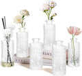 Glass Flower Vase, Aromatherapy Bottle, Small Vase, 6 Sets, Simple, White Transparent, for Birthday, Anniversary, Wedding, Home Decoration