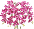 IPOPU 5 Pcs Pink Artificial Orchid Flowers 30.3” Latex Fake Orchid with Long Stem for Tall Vase Wedding and Engagement Centerpiece Arrangement Living Room Home Decor(Hot Pink)